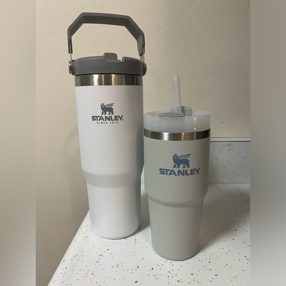 Stanley Cups (2 pack)